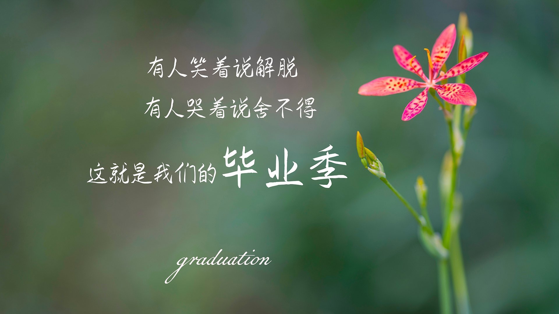 爱游戏下载-赛季高光：那些令球迷疯狂的进球瞬间，球员进球