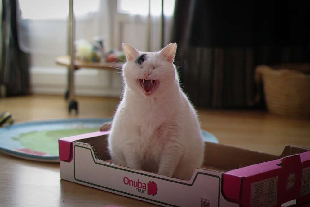 AYX SPORTS-中学生足球精英营通过实战提升技战术理解，市区全面建立校园足球精英训练营