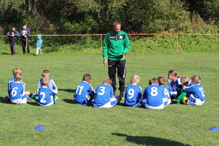 爱游戏体育（AYX）官方APP下载-五大联赛核心球员缺阵时教练战术应变差异分析，五大联赛主教练工资排名