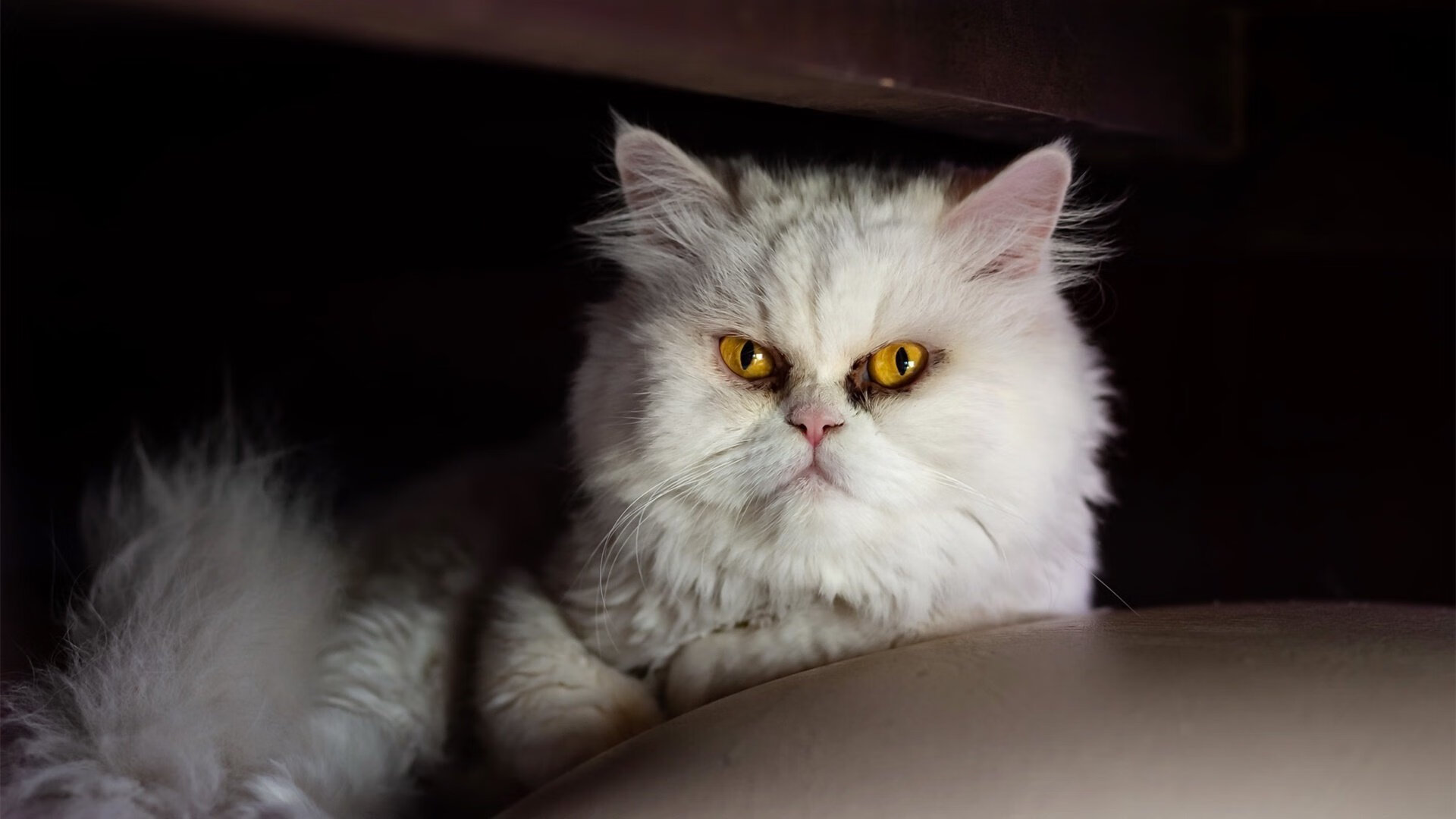 爱游戏app下载-场上沟通是否决定防守成败，沟通场合的重要性