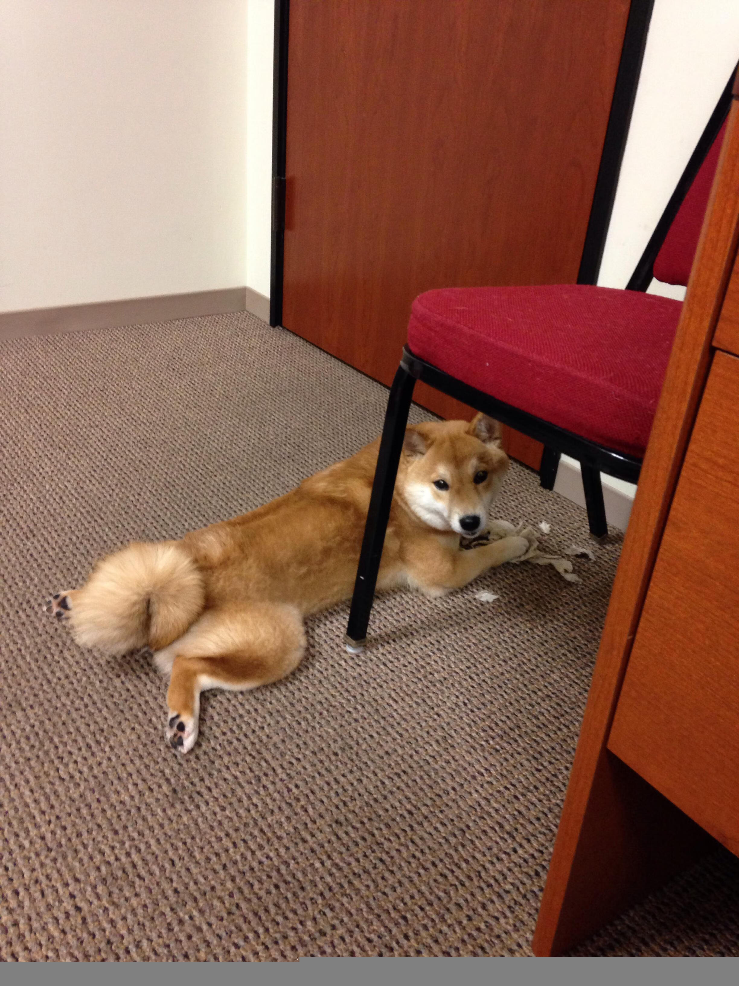 王者荣耀战术板图变化迅速选手需实时适应,王者战术图解