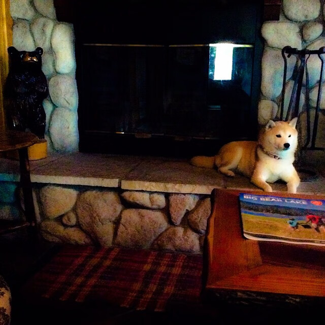 爱游戏-节奏选择是否应以得分爆发时间点为中心，节奏型的出现一定要遵循