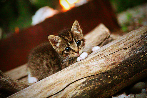 边路组合配合成功率是否决定进攻侧重选择,边路进攻的特点