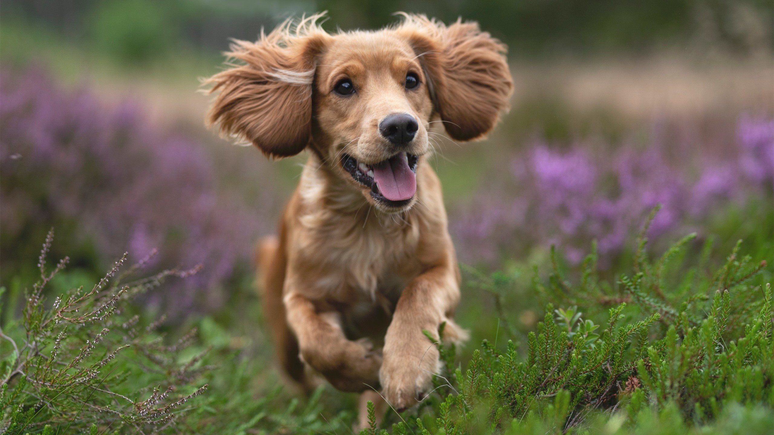 高密度轮换是否能保持球员竞技状态在高水平线上