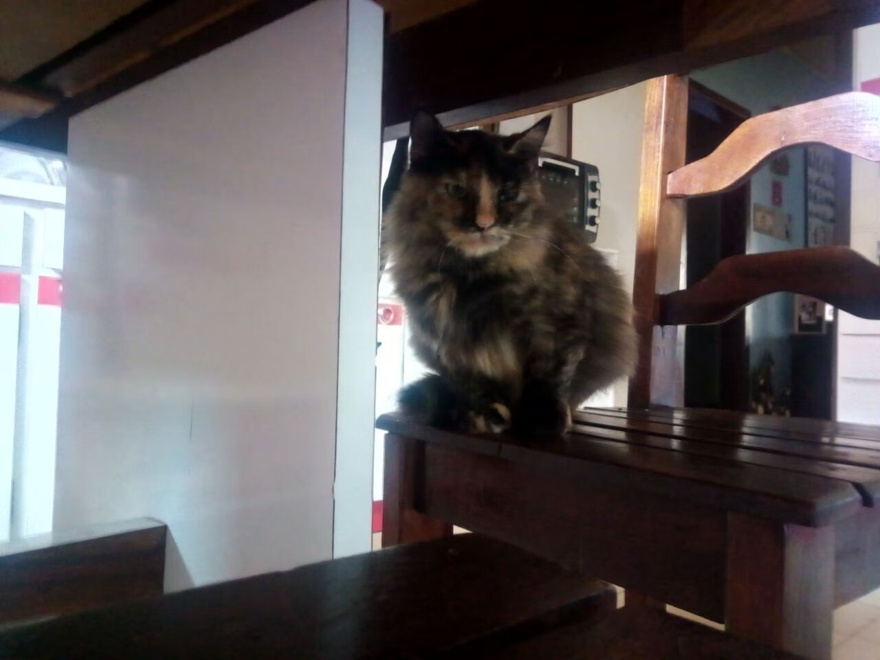 中国足球俱乐部加大对青训资金投入力度，中国足球青训政策