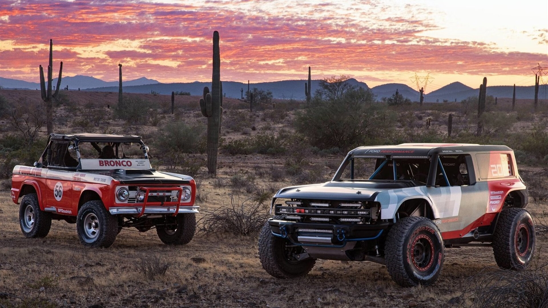 伊利亚·哈伦赛场表现备受瞩目,伊哈塔伦集锦