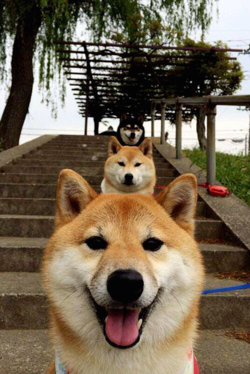 利物浦欧冠逐步逼近最佳状态，目标冠军