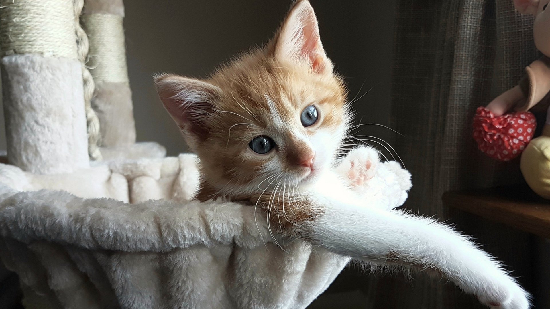 爱游戏综合娱乐-波波维奇赛场表现引发媒体关注，波波维奇 胜场