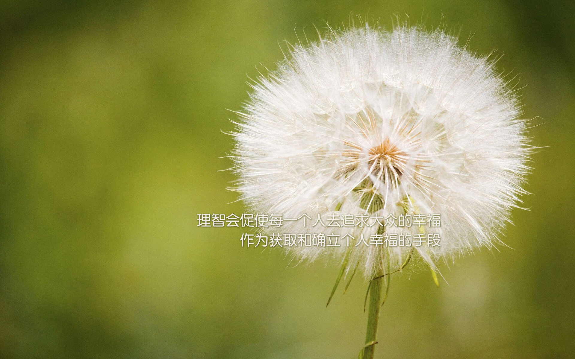 爱游戏综合娱乐-荷兰水球男队精准反击奏效，荷兰女子水球世界排名